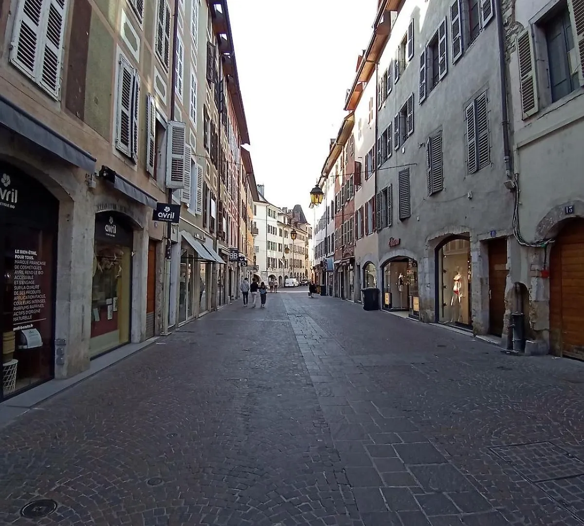 Annecy Old Town Lake Apartment France